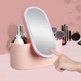 Travel Portable Makeup Organizer Box with LED Light Mirror