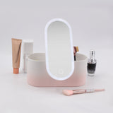 Travel Portable Makeup Organizer Box with LED Light Mirror